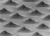 SEM of orgnized islands